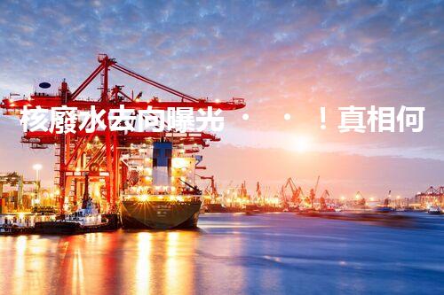 核廢水去向曝光！真相何在？
